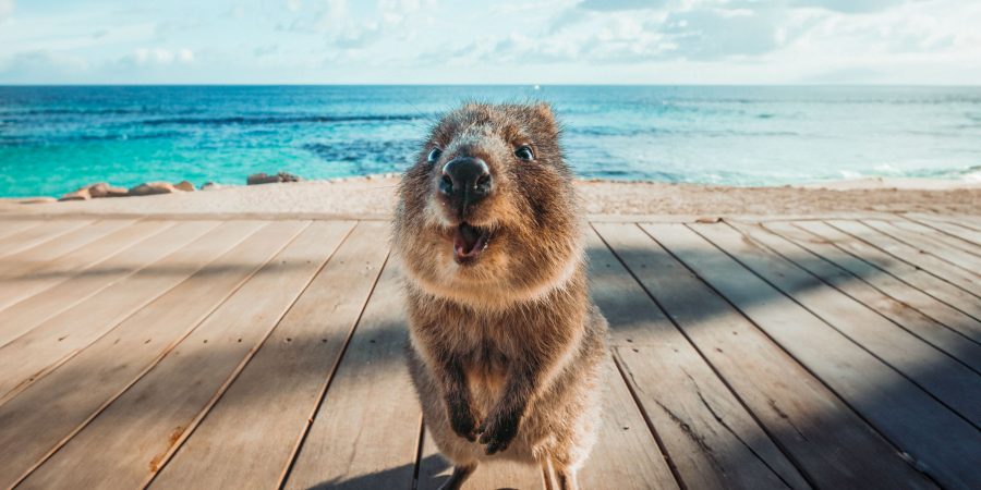 Moving beyond A to B